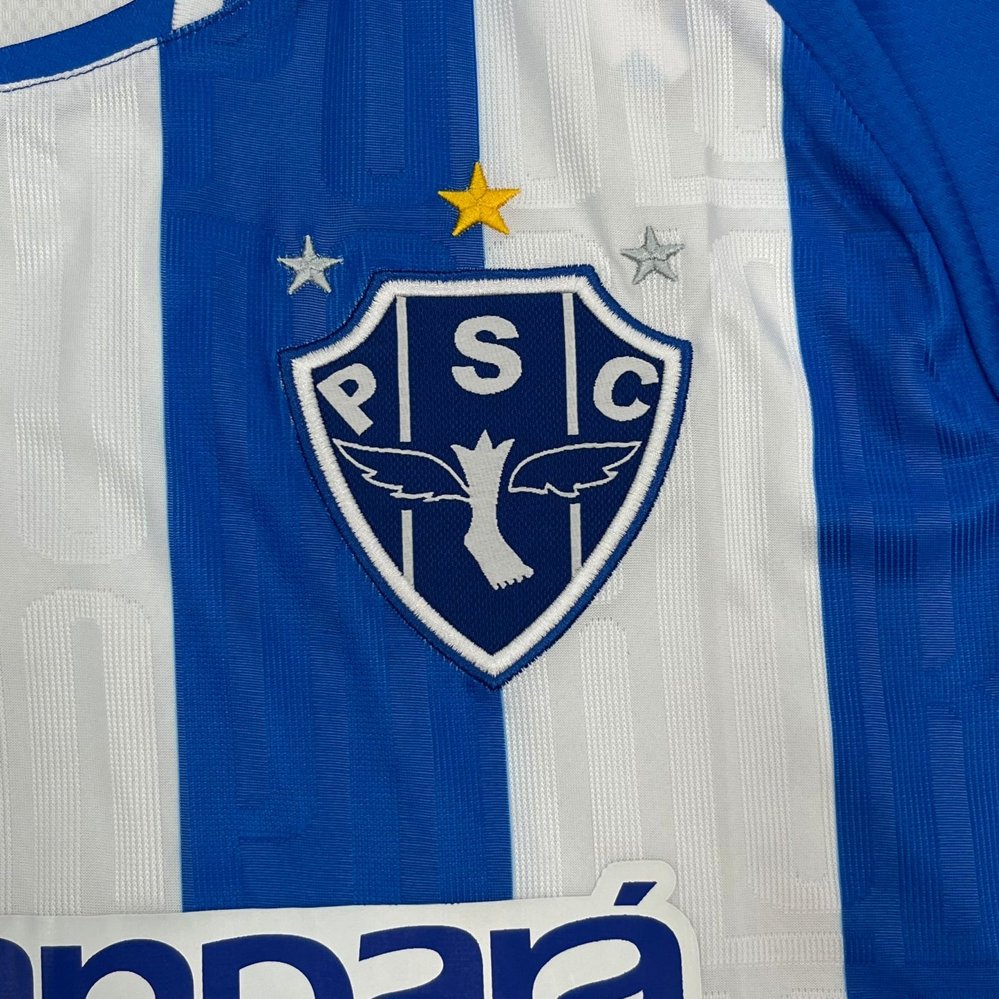 Camisa Lobo Paysandu I 2023