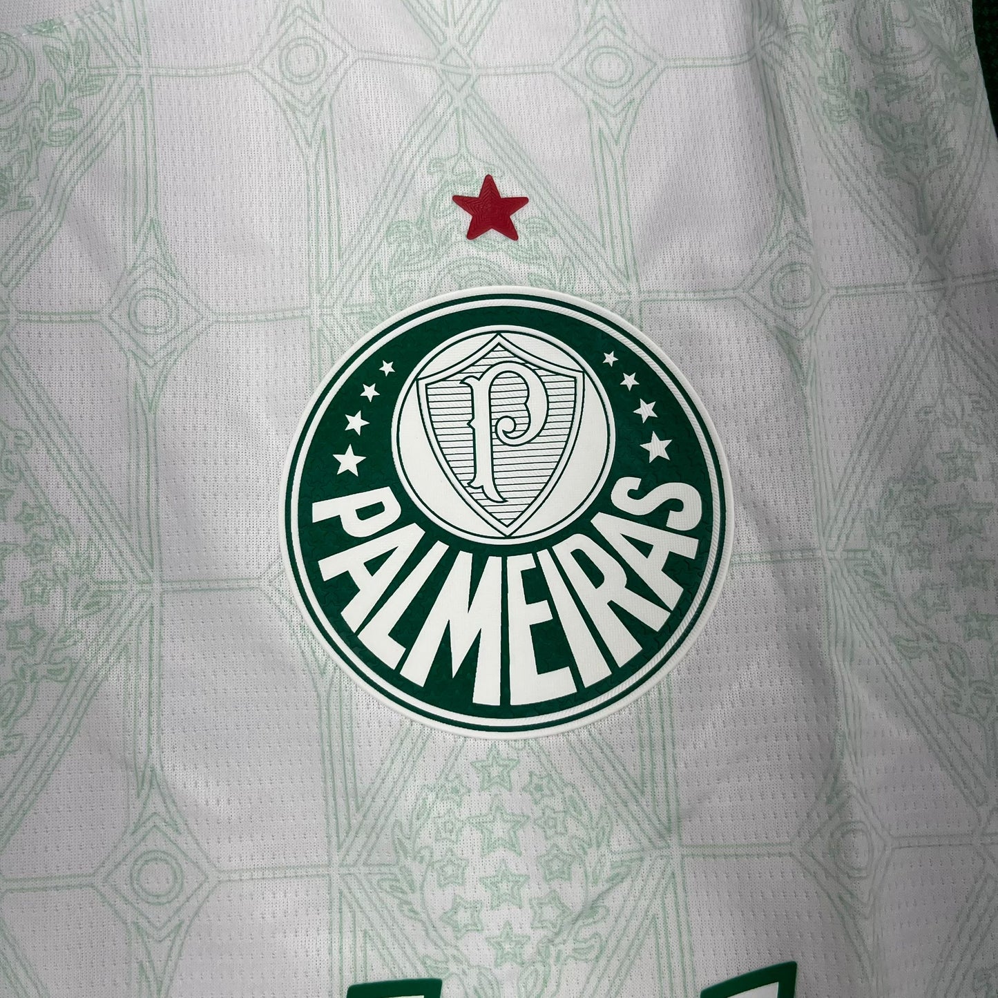 Camisa Palmeiras 2025/26 Puma