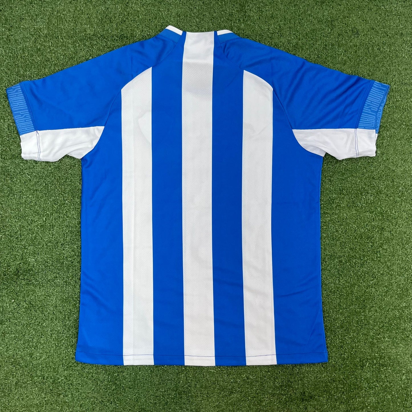 Camisa Lobo Paysandu I 2023